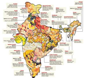 This map shows the different types of food (other than curry) that is made in India.  